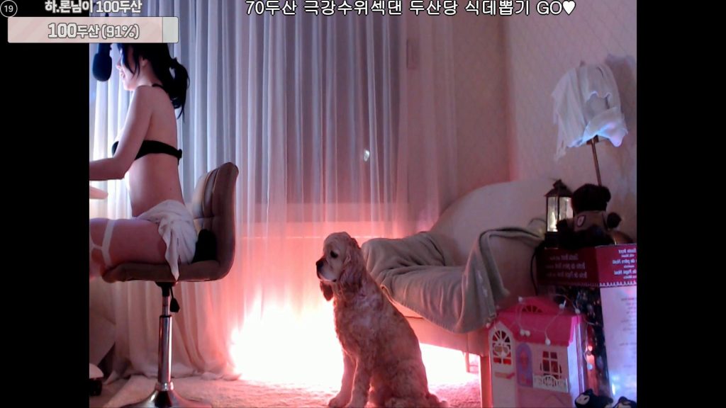 图片[43]-每日录制合集021期-神颜坊